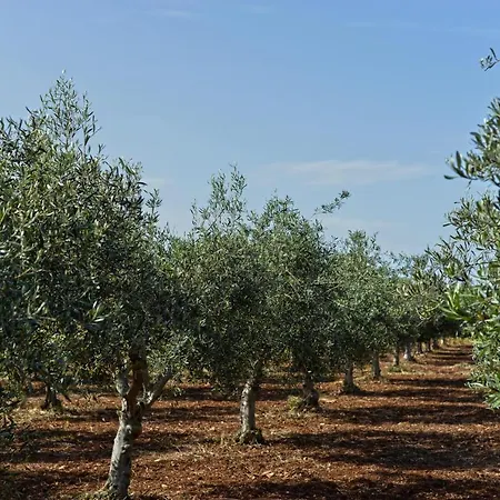 Ginevra Relax Country *